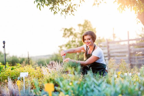 A woman with brown hair tied back and wearing a black apron over a white shirt is tending to a garden in a residential outdoor space, surrounded by a mix of flowering plants, shrubs, and greenery. She is smiling and using her hands to carefully prune or cultivate the plants in a well-maintained garden bed that features a variety of textured foliage and blooming flowers in shades of purple, yellow, and green. The garden area is bordered by a neat wooden fence, with mature trees casting dappled sunlight on the scene. In the background, a pathway and additional garden elements are visible, suggesting a thoughtfully landscaped yard typical of properties within the Earls Court area. The overall setting appears bright and warm, indicative of a clear, sunny day, emphasizing the importance of outdoor garden care and maintenance as provided by professionals like Landscapers Earls Court. This image captures the essence of nurturing and landscaping expertise relevant to residential gardening services in London.