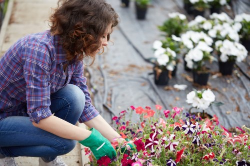 A gardener kneeling on a paved outdoor surface in a landscaped garden at Earls Court, London, planting vibrant, multicoloured flowers in a flower bed bordered by dark soil. The gardener is dressed in a checkered shirt and blue jeans, wearing green gardening gloves, and is carefully placing the plants into the soil. Surrounding the flower bed are some potted plants with white blossoms, and the background shows other garden elements, including additional planting areas and a variety of young shrubs or small trees, indicating a well-maintained and organized outdoor space suitable for gardening services offered by Landscapers Earls Court. The scene is lit by natural daylight, with a slightly overcast sky, highlighting the natural tones of the flowers, soil, and greenery, creating a welcoming and professional garden environment in central London.