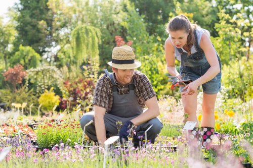 Seasonal lawn care in Earls Court