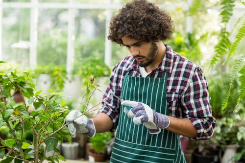Landscapers Earls Court website cookie policy introduction