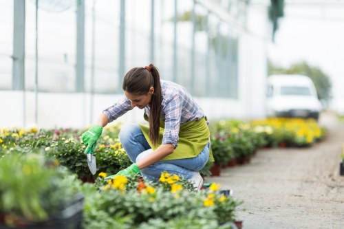 Eco-friendly garden clearance practices in Earls Court