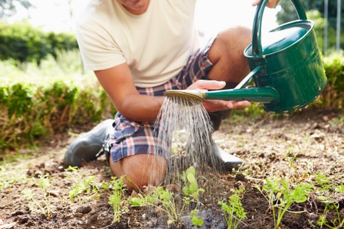 Professional garden clearance services being performed