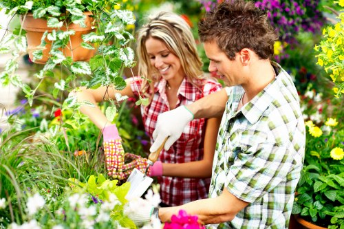 A man and woman working together in a lush garden with a variety of green plants, flowering shrubs, and colorful blooms, engaging in gardening tasks. The foreground features a well-maintained lawn with vibrant pink and purple flowers along the borders, while the background includes a hedge and taller trees providing shade. The garden appears bright and sunny, with natural light highlighting the fresh, healthy foliage and the textured wooden decking area. The scene reflects a peaceful outdoor space typical of a backyard garden in Earls Court, demonstrating the level of care and landscaping detail involved in professional gardening services by Landscapers Earls Court, with the garden's layout designed for both aesthetic appeal and outdoor utility.