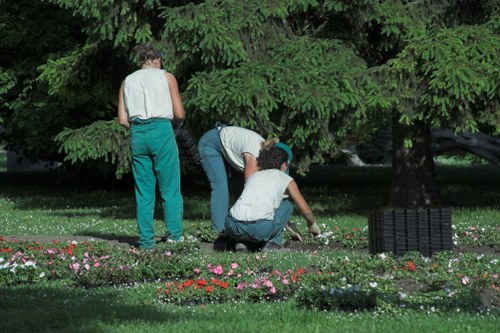 In the outdoor garden, three individuals are engaged in gardening activities among lush greenery. The scene features a well-maintained grassy lawn with vibrant flower beds containing small, colorful flowers arranged along the edge. In the background, dense trees with broad, dark green leaves provide shade and serve as a natural backdrop. One person is standing while the other two are crouched down, tending to the flowers near the bed’s border, possibly planting or weeding. The garden surface shows a combination of neatly trimmed grass, dark soil in the flower beds, and a paved area partially visible on the right. The lighting suggests a clear, bright day, with natural sunlight highlighting the rich tones of the foliage and flowers. This scene reflects typical outdoor gardening work, relevant to services offered by Landscapers Earls Court, such as flower bed creation and lawn maintenance, in a landscaped front or back garden setting within the Earls Court area.