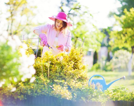 Eco-friendly lawn maintenance practices