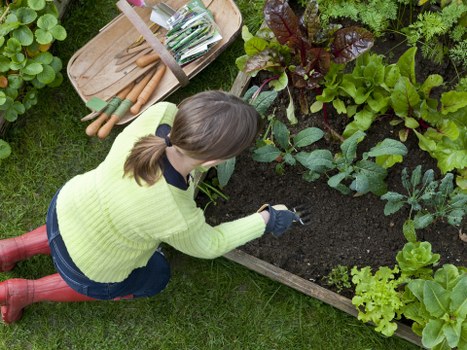 Sustainable landscaping recycling and borough waste separation