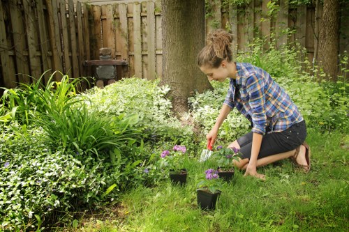 Seasonal garden tasks being performed