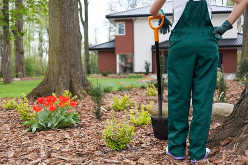 In a residential garden setting in Earl's Court, a person wearing green gardening overalls and gloves holds a garden trowel while working near the base of a mature tree with a thick trunk and textured bark. The garden features a well-maintained lawn with lush, dense green grass visible in the background, alongside flower beds bordered with mulch and comprising vibrant red tulips and small green shrubs. The scene includes a paved patio area and a modern house with white and dark brick exterior walls, large windows, and a sloped roof, partially visible in the background. The environment appears bright and slightly overcast, with natural light illuminating the garden, which is surrounded by other mature trees, indicating a peaceful outdoor space suitable for various landscaping and lawn care services by Landscapers Earls Court. The overall composition highlights aspects of garden maintenance, planting, and outdoor landscaping work typical of the area.