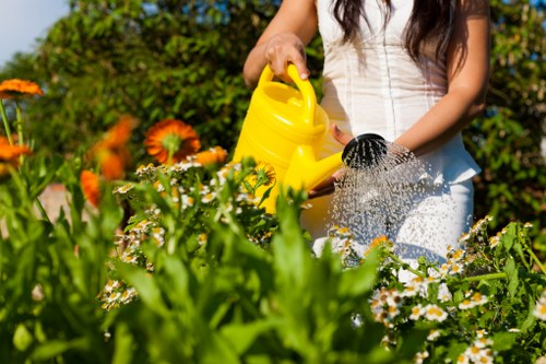 A woman wearing a white sleeveless top is watering a garden bed with a yellow watering can in an outdoor space, possibly in Earls Court, with lush green foliage in the background. The garden features a variety of flowering plants, including orange and white daisies, bordered by a well-maintained lawn with dense, evenly cut grass. The soil appears moist and fertile, while the paving or decking area is not visible in this particular image. The scene is brightly lit by natural sunlight, indicating clear weather, and the woman’s actions suggest regular garden maintenance or planting activities. This setting exemplifies typical residential landscaping in London, emphasizing healthy plant growth, diverse flowering beds, and outdoor greenery that local gardening services like Landscapers Earls Court might support through lawn care, planting, or patio repairs, creating a pleasant and inviting outdoor environment specifically tailored for professional gardening and landscape improvements.