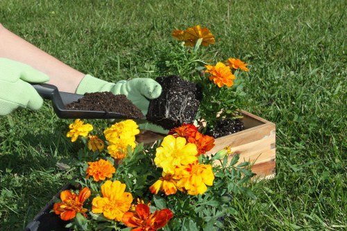 Final touches on a vibrant outdoor space