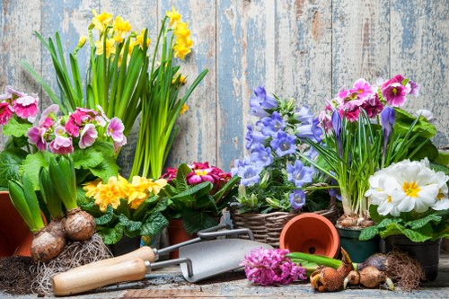 A collection of various flowering plants in pots arranged on a rustic wooden surface, including yellow daffodils, pink primroses, purple irises, and white primroses. The plants display vibrant colors and healthy green foliage, with some flowers in full bloom and others budding. Surrounding the pots are gardening tools such as a small trowel with a wooden handle, a metal garden fork, and a terracotta flowerpot. The background features weathered wooden panels painted in a faded blue and white, adding a rustic outdoor garden atmosphere. This scene exemplifies typical garden planting setups and reflects a well-maintained outdoor space suitable for gardening services in Earls Court or nearby areas, highlighting plant diversity and garden arrangement details.