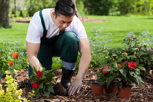 Earls Court landscapers installing planting beds