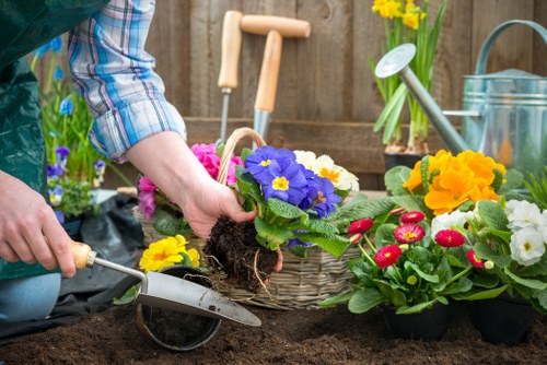 Professional landscaper working on garden design